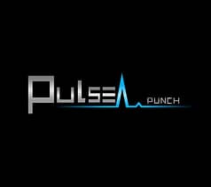 pulse punchebe logo