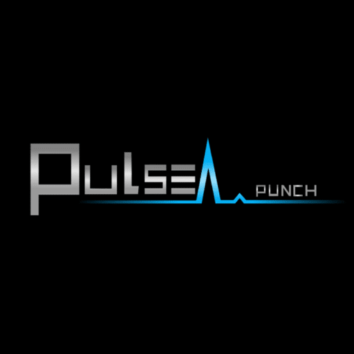 Pulse-Punch.be